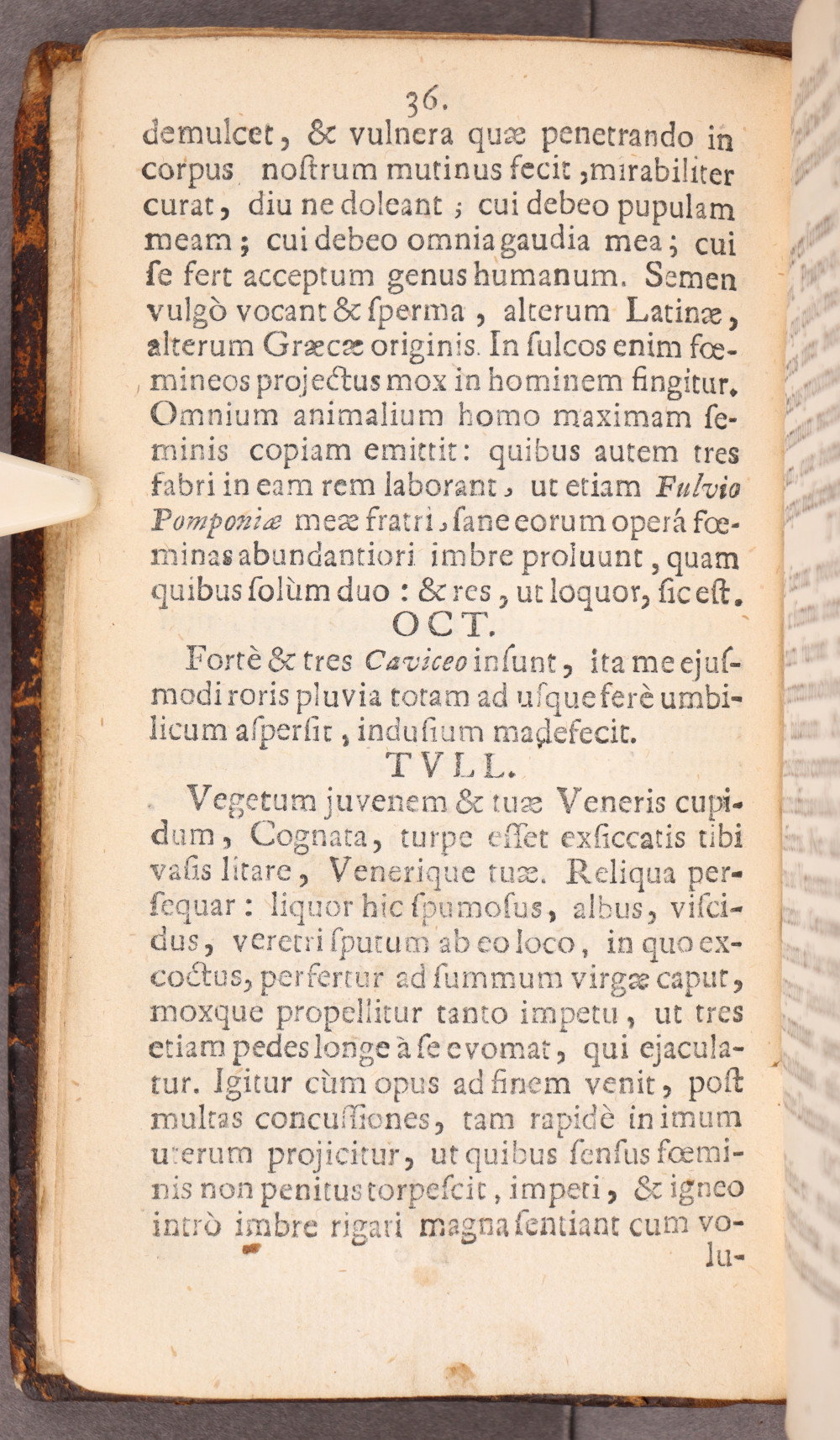 Page 36